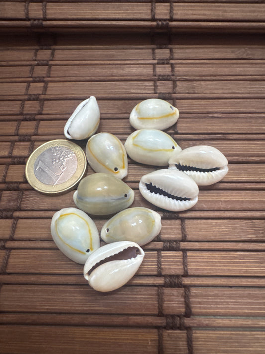 PIEDRAS CARACOLAS